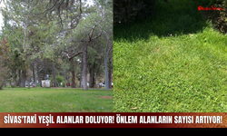Sivas'taki Yeşil alanlar Doluyor! Önlem Alanların Sayısı Artıyor!