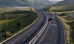 Sivas yolu üzerinde her bir direkte leylek var