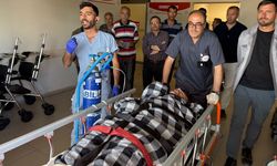 Sivas'ta ayı saldırısına uğrayan çoban yaralandı