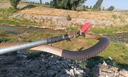 Sivas'ta eve giren yılanı itfaiye ekipleri yakaladı