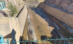 Sivas'ta barajda dağ keçileri operasyonu