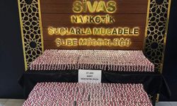 Sivas'ta dev operasyonda 133 bin 840 hap ele geçirildi