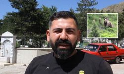 Sivas'ta ayı ailesi gezisi görüntülendi