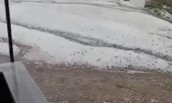 Sel ve Dolu Tarım Arazilerine Zarar Verdi