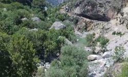 Serinlemek için girdiği nehirde kayboldu