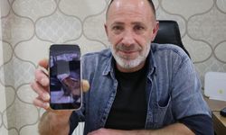 Serum takılı buzağı onu şaşırttı