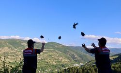 100 keklik doğaya bırakıldı