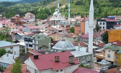 25 Yıl sonra Tokat'a Gelen Leylek Ailesinden Yalnızca Bir Yavru Sağ Kaldı!
