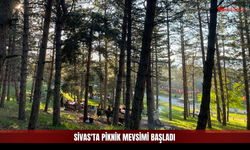 Güneşli Havayı Gören Mesire Alanlarına Koştu!