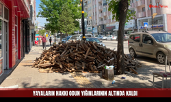 Kaldırım mı, Odunluk mu?