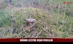 Sivaslılar İçin Keyifli Aktivite, Bazıları İçin Hayati Risk!