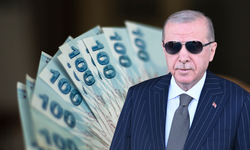 Vatandaşlık Maaşı Geliyor Ailelere Destek Sistemi Başlıyor !