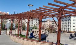 Sivas'ın bu parkında güneşten kaçamazsın!
