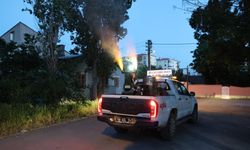 Sivas'ta ilaçlama çalışmaları hız kazandı