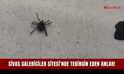 Sivas Galericiler Sitesi’nde tedirgin eden anlar!