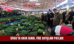 Sivas’ta Hava Isındı, Fide Satışları Patladı
