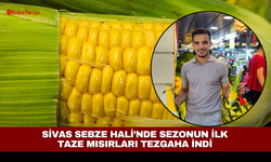 Sivas Sebze Hali’nde sezonun ilk taze mısırları tezgaha indi