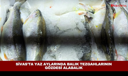 Sivas'ta yaz aylarında balık tezgahlarının gözdesi alabalık