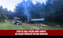 Sivas’ın saklı kalmış doğa cenneti: Kış Kaçağı görenleri hayran bırakıyor