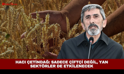 Hacı Çetindağ: Sadece çiftçi değil, yan sektörler de etkilenecek