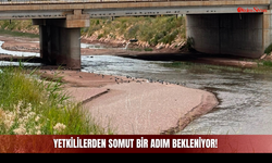 Irmaktan Gelen Kötü Koku ve Sivrisinekler İçin Vatandaş Somut Bir Adım Bekliyor!