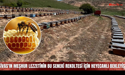 Sivas'ın Meşhur Lezzetinin Bu Seneki Rekoltesi İçin Heyecanlı Bekleyiş!