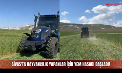 Sivas'ta Hayvancılık Yapanlar İçin Yem Hasadı Başladı!