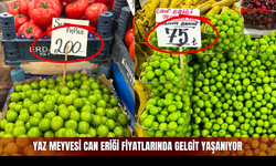 Sivas'ta Yaz Mevsiminin Vazgeçilmez Meyvesi Fiyatında Gelgit Yaşıyor!