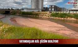 Fadlum Çayı'nda Oluşan Tehlike ve Kötü Kokuya Karşı Vatandaşlar Acil Çözüm Bekliyor!
