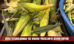 Sivas Tezgahlarında Yaz Kokusu Yükselmeye Devam Ediyor!