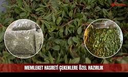Memleket Hasreti Çekenlere Özel Hazırlık