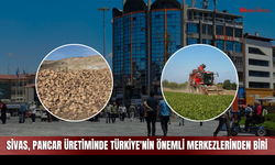 Sivas, şeker pancarı üretiminde Türkiye'nin önemli merkezlerinden biri