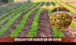 Sivaslılar pezük hazırlığı için gün sayıyor