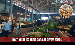 Fiyatı Yüzde 100 Artsa da Talep Devam Ediyor!