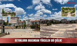 Betonların Arasından Yükselen Gri Çığlık! Yeşil Alanlar Yeterli mi?