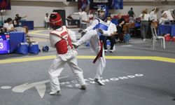 Sivas'ta Taekwondo Şampiyonası sona erdi
