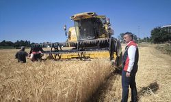 Sivas'ta biçerdöver kontrolleri aralıksız sürüyor