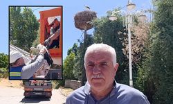 Sivas'ta leylek yavrusuna şefkat eli