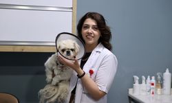 Sivas'ta saldırıya uğrayan Pamuk'a lens takılacak