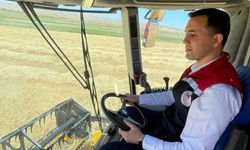 Ulaş Kaymakamı Avcı, hububat hasadına katıldı