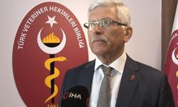 TVHB'den Zoonotik Hastalık Uyarısı! En Etkili Yöntem Tek Sağlık
