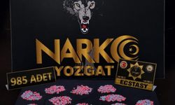 Yozgat'ta narkotik operasyonu: 985 hap ele geçirildi