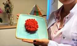 Fast Food Devlerinin Yıllardır Gizlediği Hile Ortaya Çıktı!