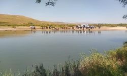 Sivas'ta serinlemek için girdiği Kızılırmak'ta kaybolan çocuktan acı haber geldi