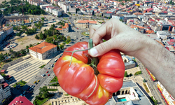 Sivas'ın Tescilli Lezzeti İçin Geri Sayım Başladı