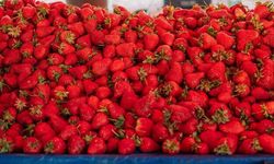 Markette çilek en fazla artan ürün