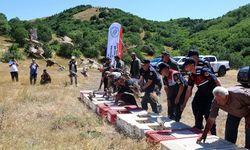 Sivas'ta 500 keklik doğaya salındı
