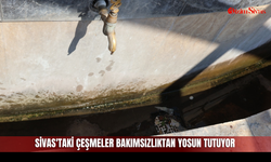 Sivas'taki Çeşmeler Bakımsızlıktan Yosun Tutuyor