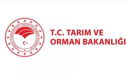 Tarım ve Orman Bakanlığı 1.874 Memur Alımı Yapacak! İşte Merak Edilen Branş Dağılımı