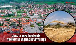 Sivas'ta arpa üretiminin yükünü tek başına sırtlayan ilçe